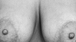 &nbsp;