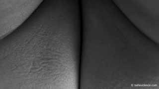 &nbsp;