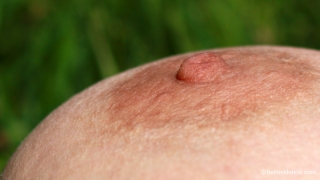 &nbsp;