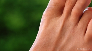 &nbsp;