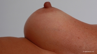 &nbsp;
